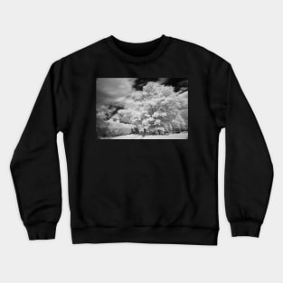 Chelsworth IR Crewneck Sweatshirt